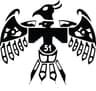 Troop 51 thunderbird emblem